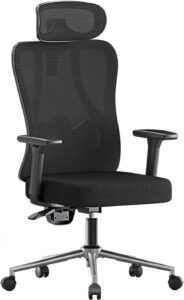Hbada P3 Ergonomic Office Chair