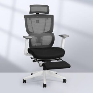 FLEXISPOT C7 Premium Ergonomic Office Chair